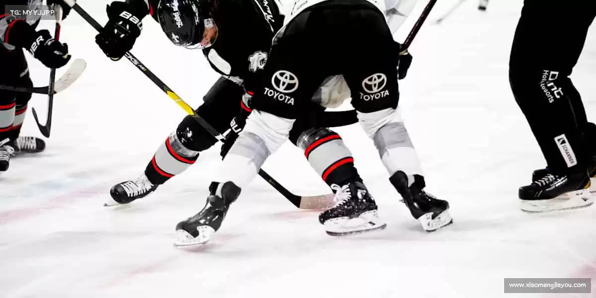 为什么选择我们